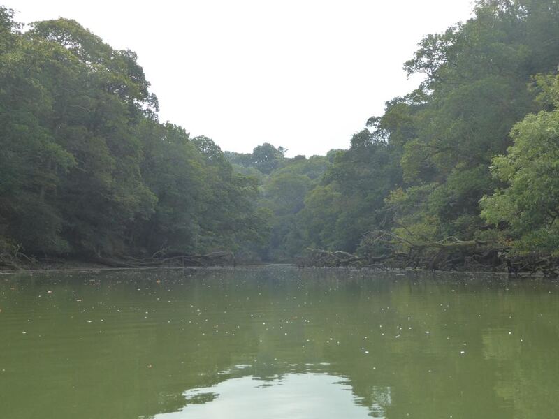 P1180167.JPG