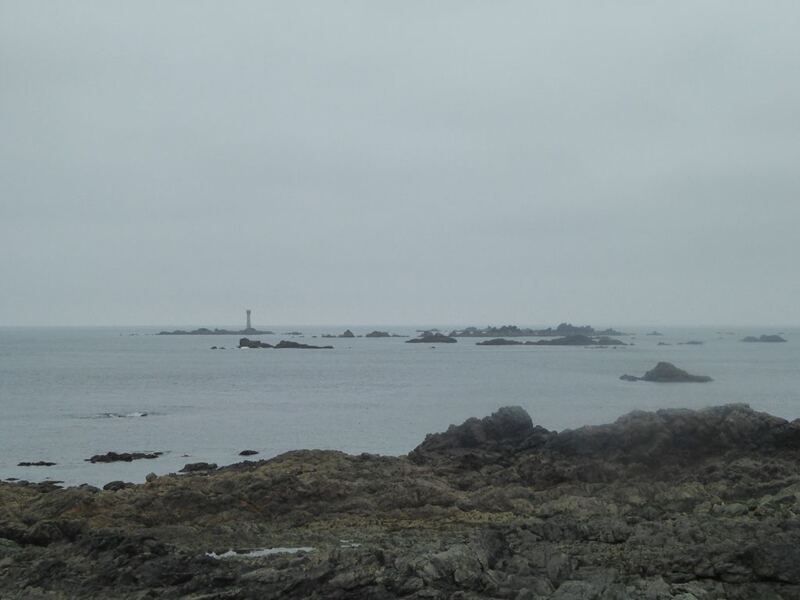 P1010208.JPG