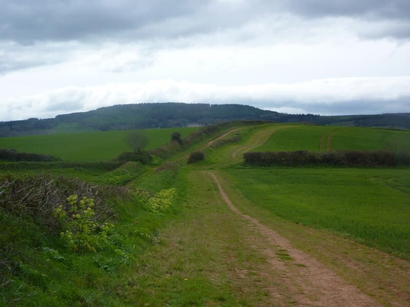 P1010441.JPG