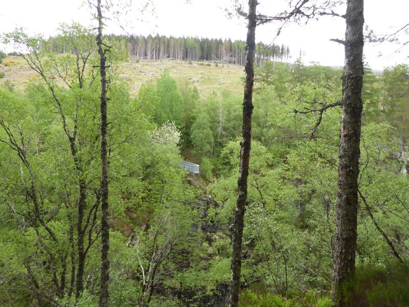 P1130957.JPG