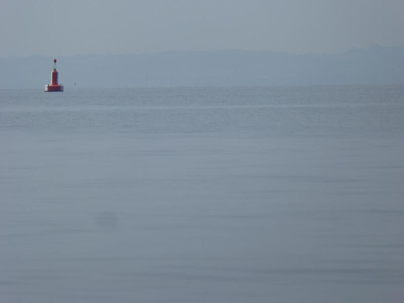 P1170153.JPG