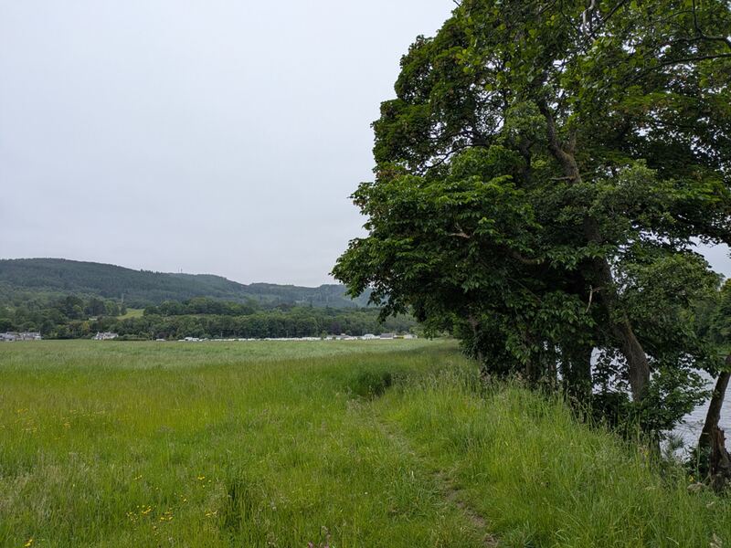 PXL_20260616_072539509.jpg