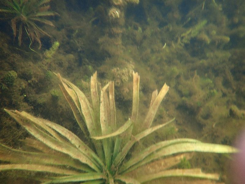 PA030545.JPG
