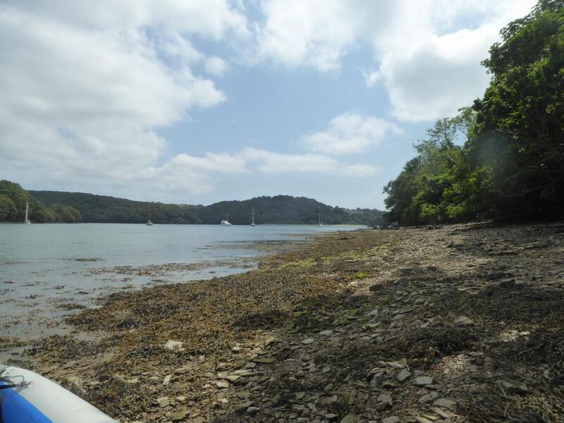 P1110057.JPG