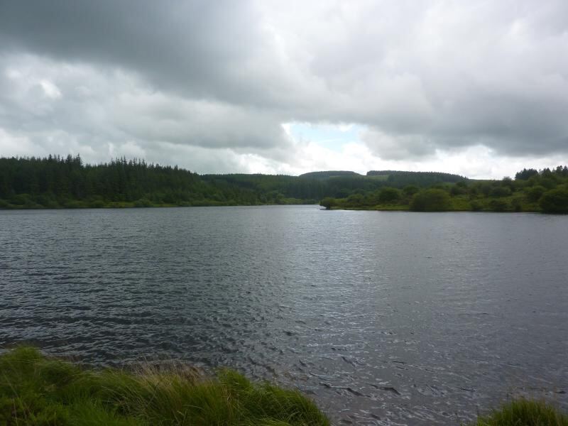 P1020017.JPG