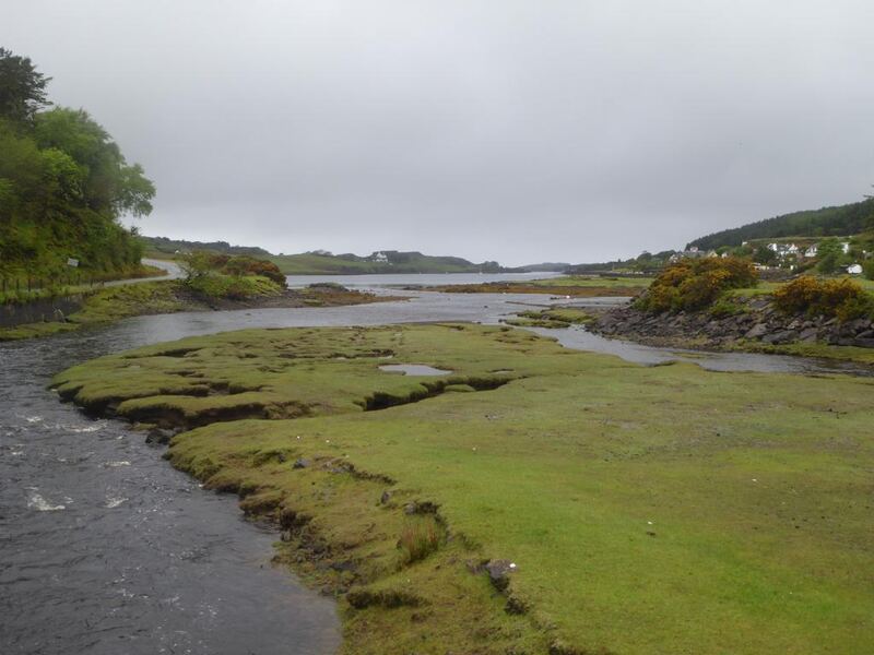 P1140143.JPG