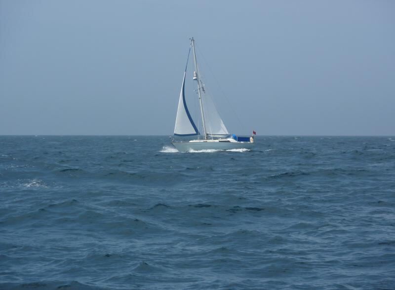 P1010846.JPG