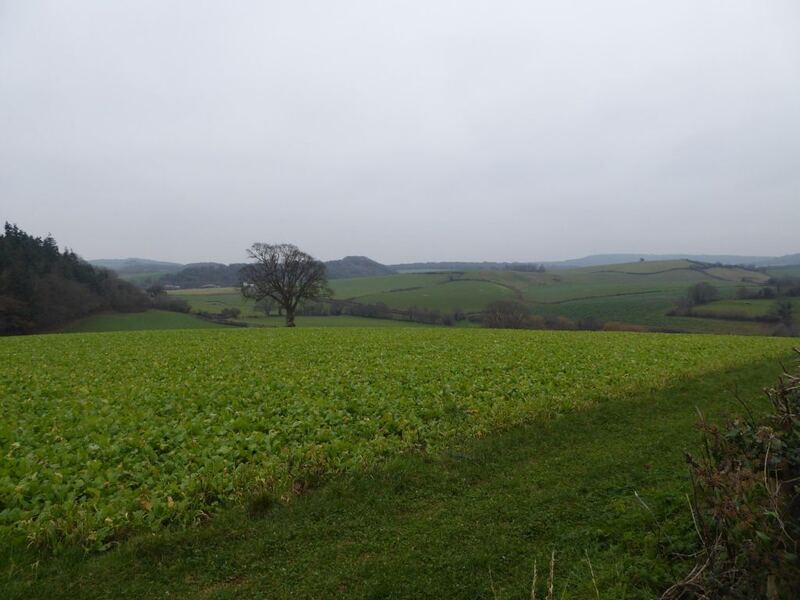 P1050093.JPG
