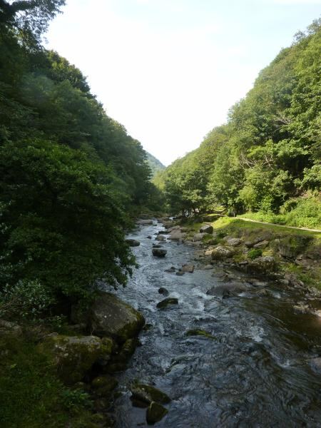 P1020313.JPG