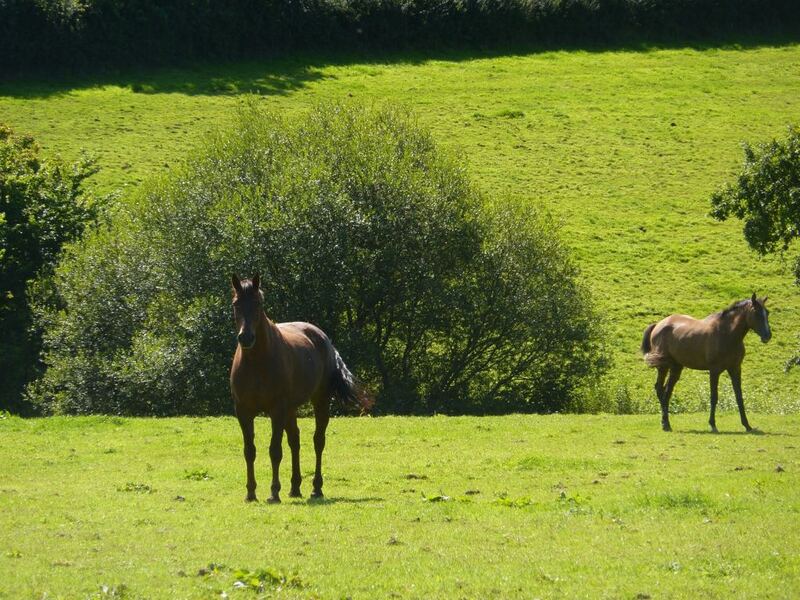 P1050254.JPG