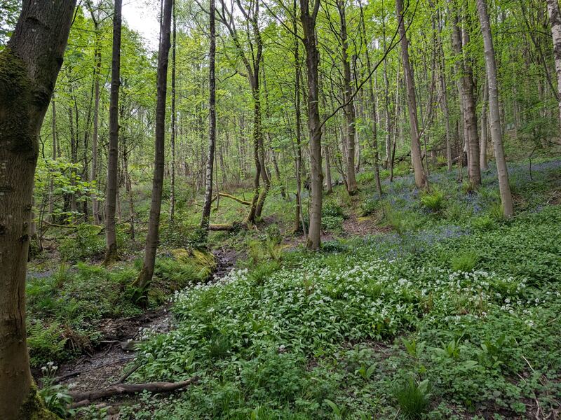PXL_20260503_164106662.jpg