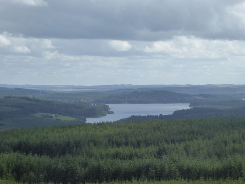 P1010851.JPG