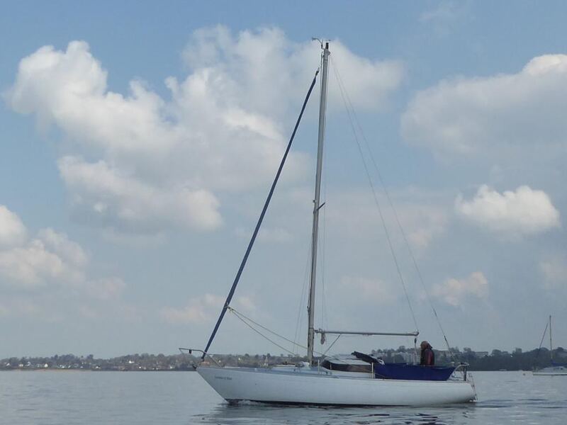 P1100802a.jpg