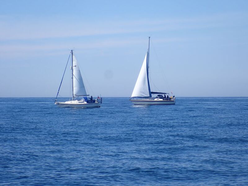 P5020104.JPG