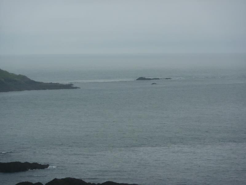 P1020246.JPG