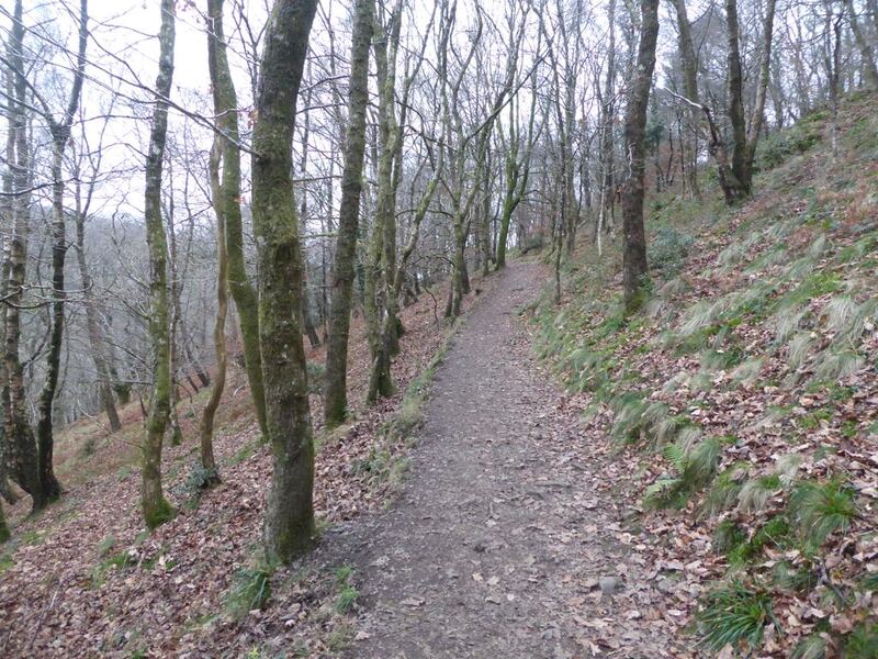 P1120449.JPG