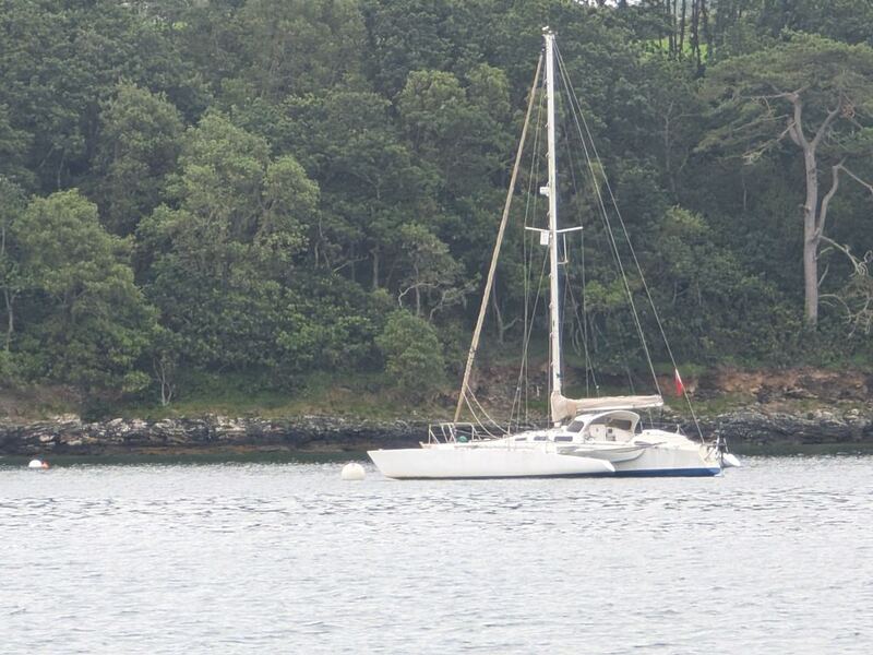 PXL_20250630_085248084.jpg