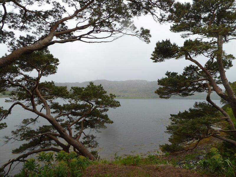 P1130989.JPG