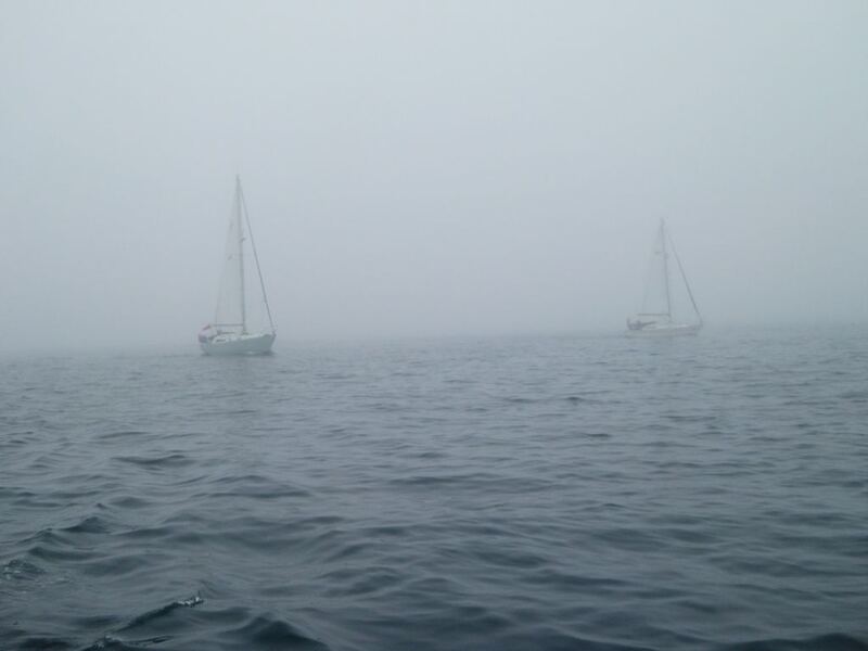 P1010014.JPG