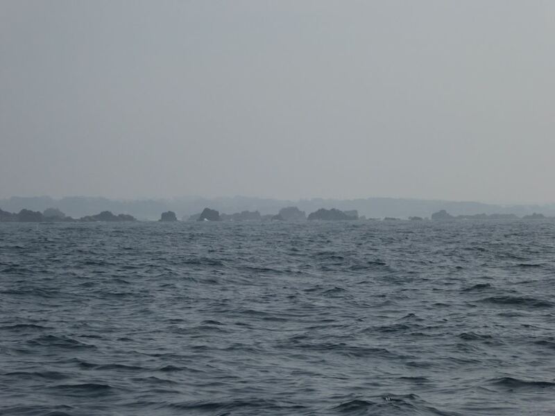 P1010142.JPG