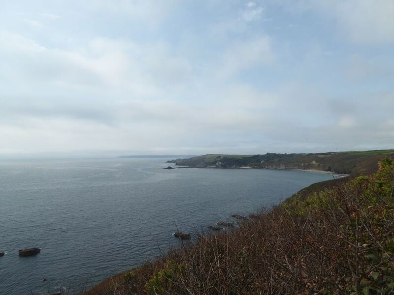 P1100296.JPG
