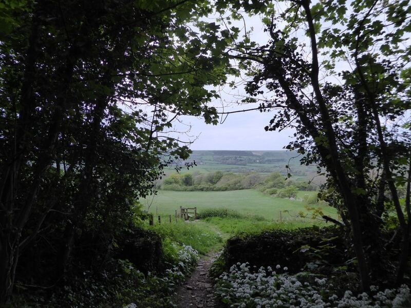 P1000938.JPG