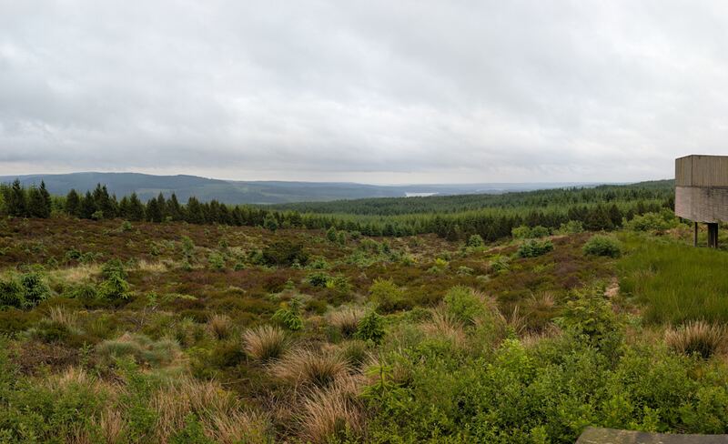 PXL_20260618_145243579.PANO.jpg
