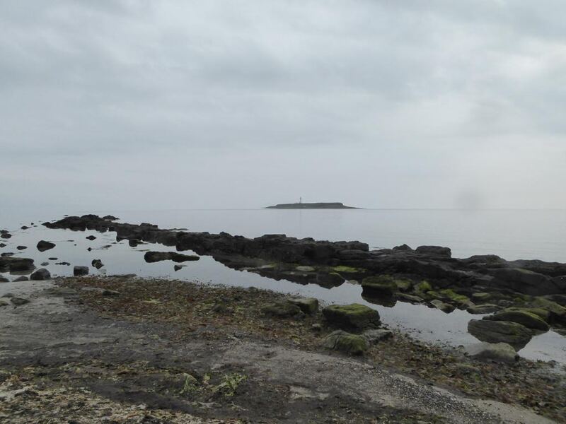 P1120899.JPG