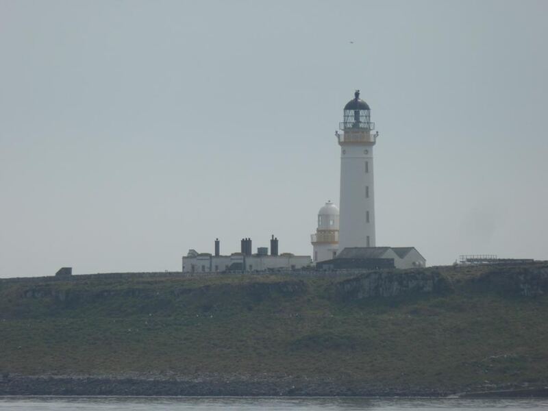 Seal Shore Arran