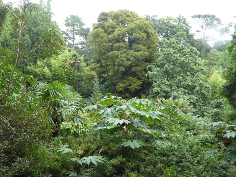 P1150593.JPG