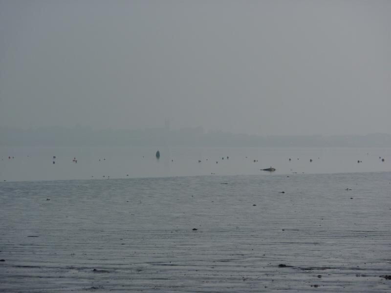 P1010380.JPG