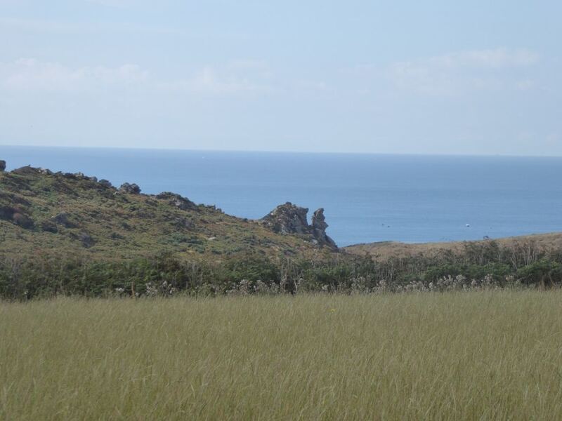 P1080848.JPG