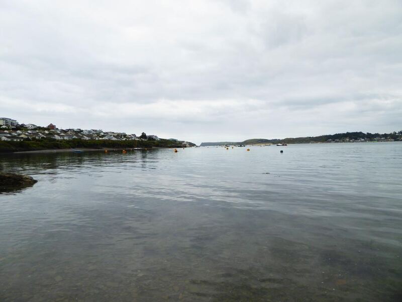 P1180246.JPG