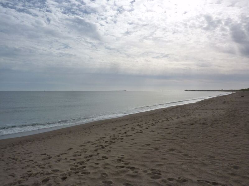 P1060366.JPG