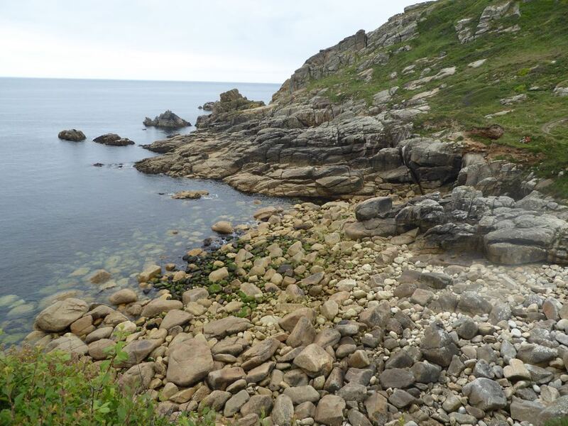 P1010356.JPG