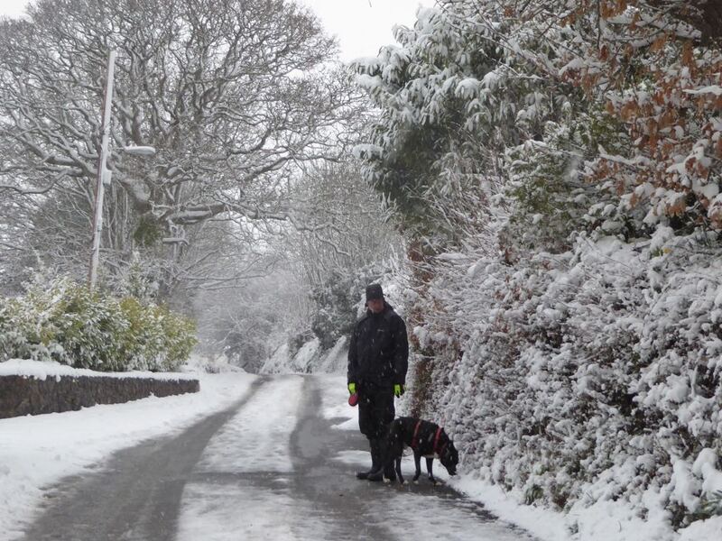 P1050260.JPG