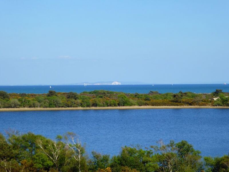 P1000854.JPG