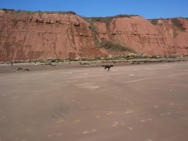 P1030239.JPG