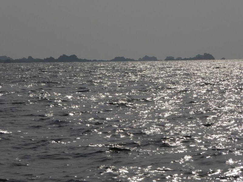P1010146.JPG