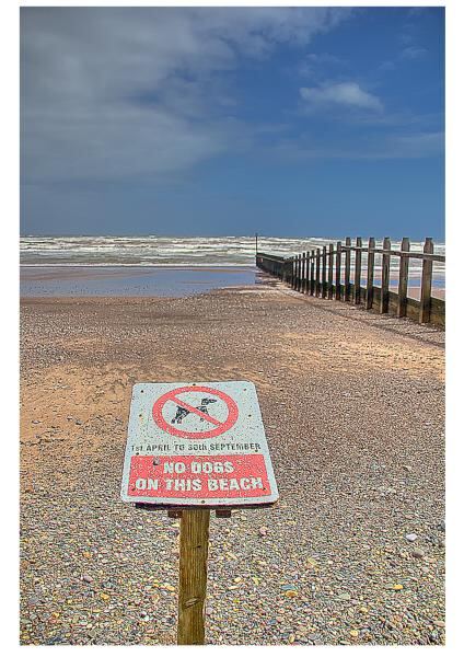 dawlish warren groyne4.jpg