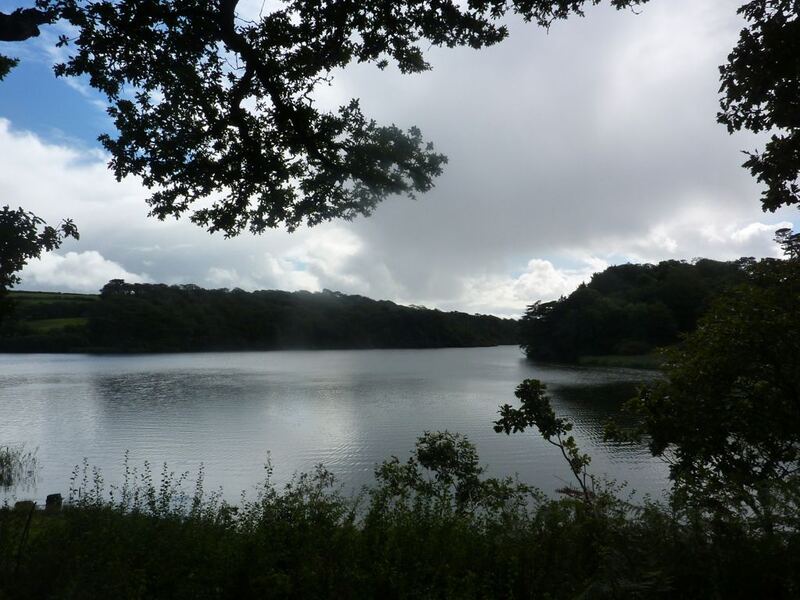 P1050519.JPG
