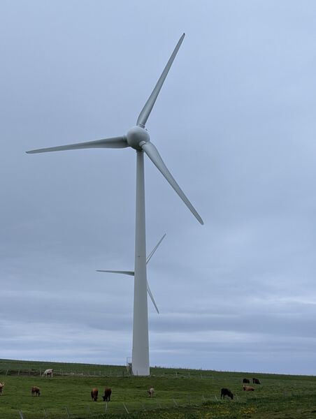 PXL_20260524_120552525.jpg