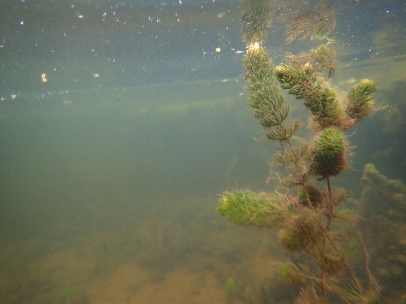 PA030557.JPG