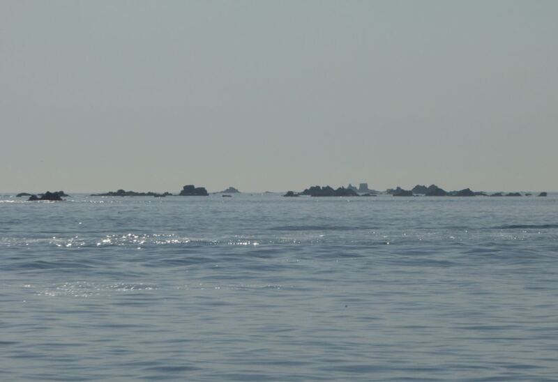 P1050849.JPG