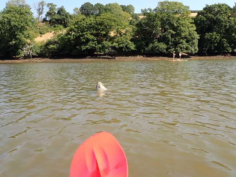P8130137.JPG