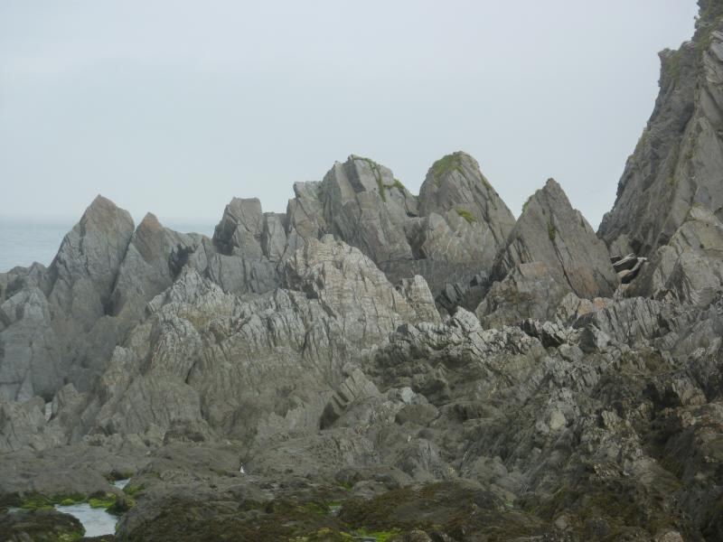 P1020243.JPG