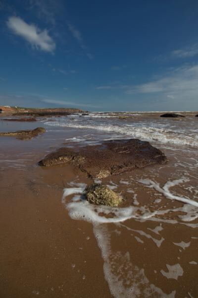exmouth beach.jpg