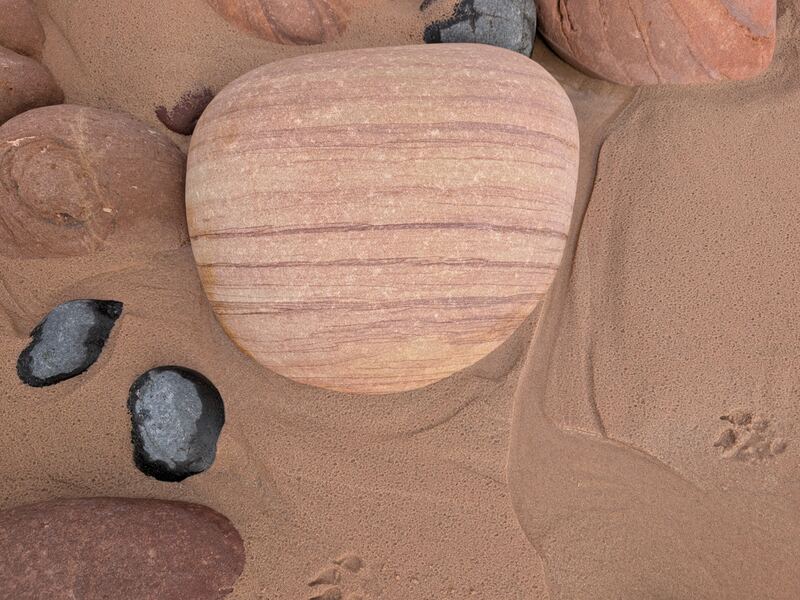 PXL_20260514_155254796.jpg