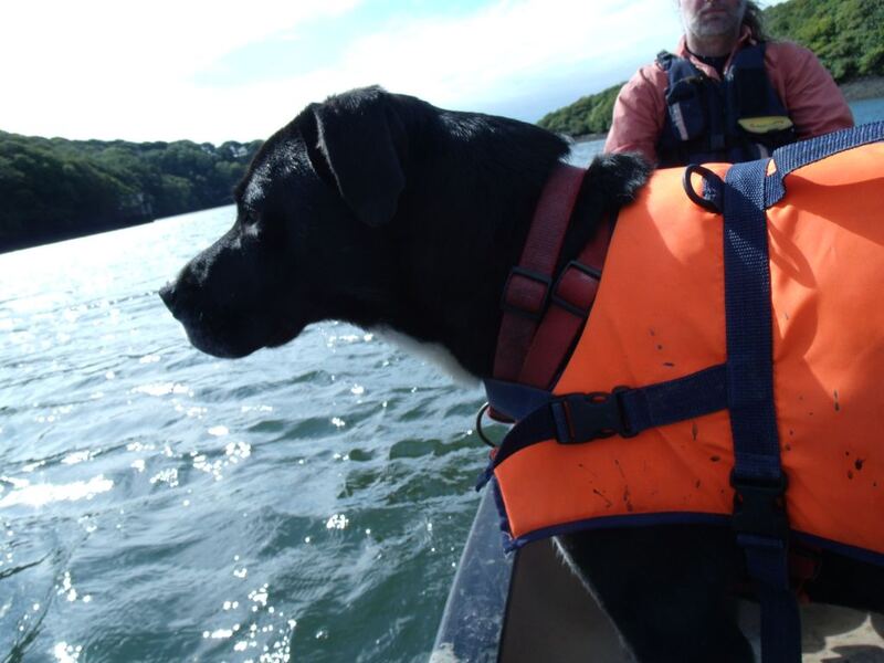 APDC3845.JPG