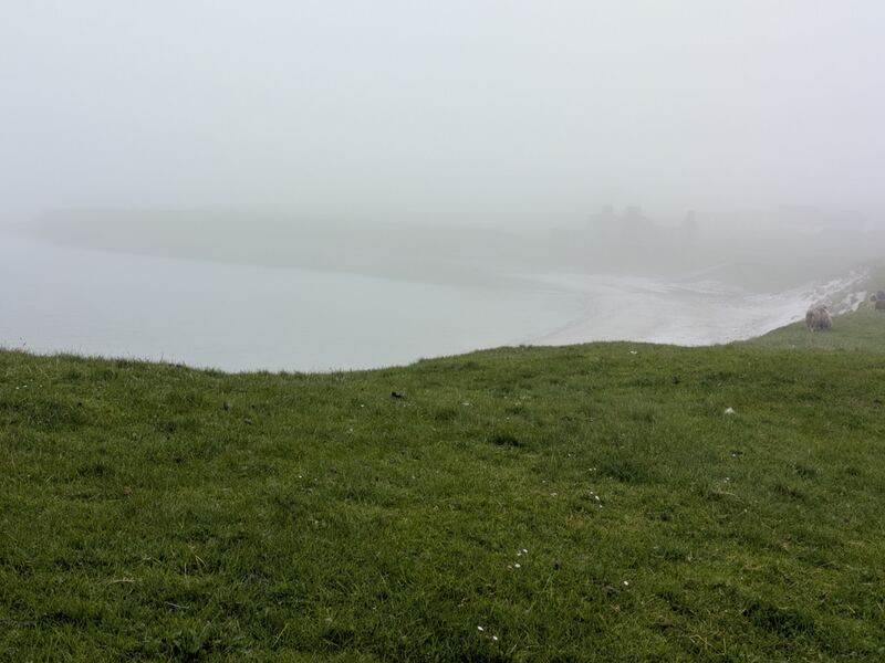 PXL_20260602_093954261.jpg